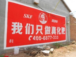  大余刷墙广告”蕴含了时代命题