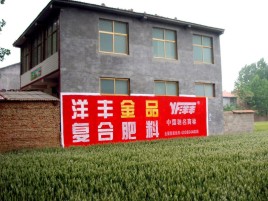  大余如何让墙体广告展现最大化效果