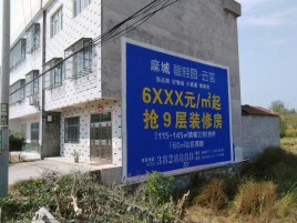 大余墙体广告质量分析