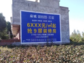 大余品牌公司青睐的墙体广告
