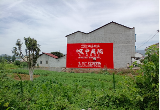  大余做墙体广告的意义