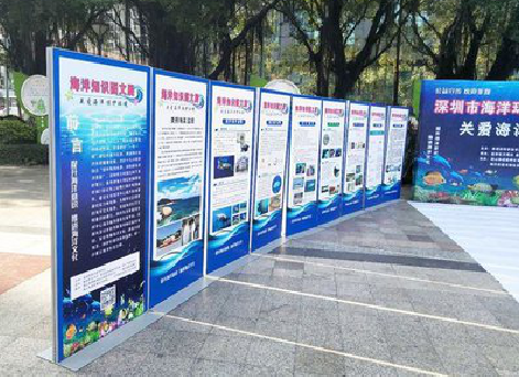  大余KT板的种类和知识。